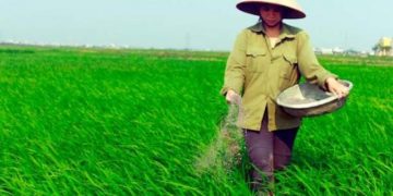 Thư viện hình ảnh